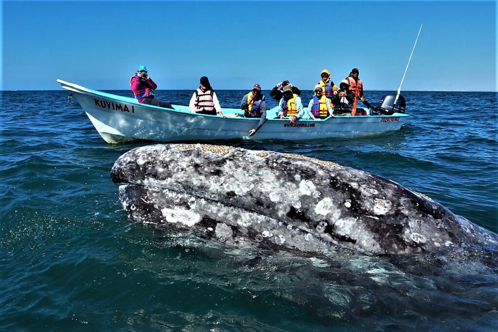 La Paz, BCS - Destino Turístico